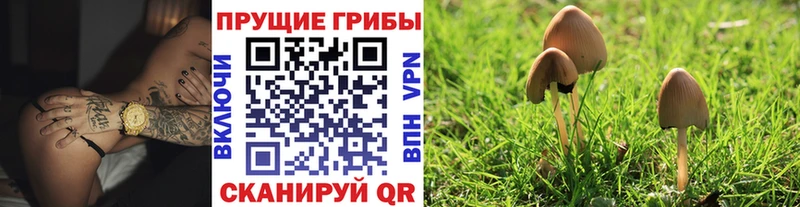 Галлюциногенные грибы GOLDEN TEACHER  Пустошка 